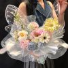 水晶蝶 sjd
