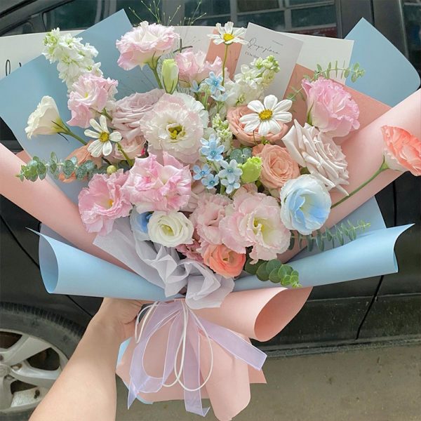 双色欧雅纸 ssoyz