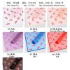 小马宝莉 xmbl
